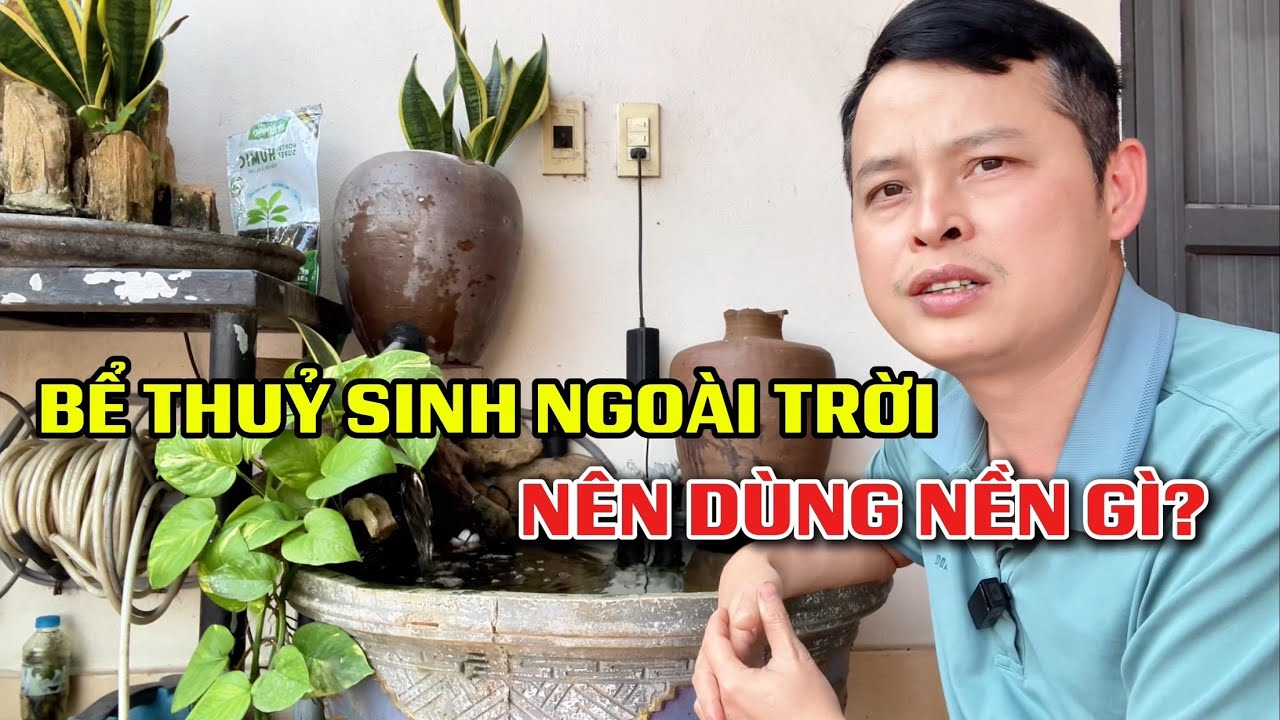 Chơi thuỷ sinh ngoài trời nên dùng Nền gì?