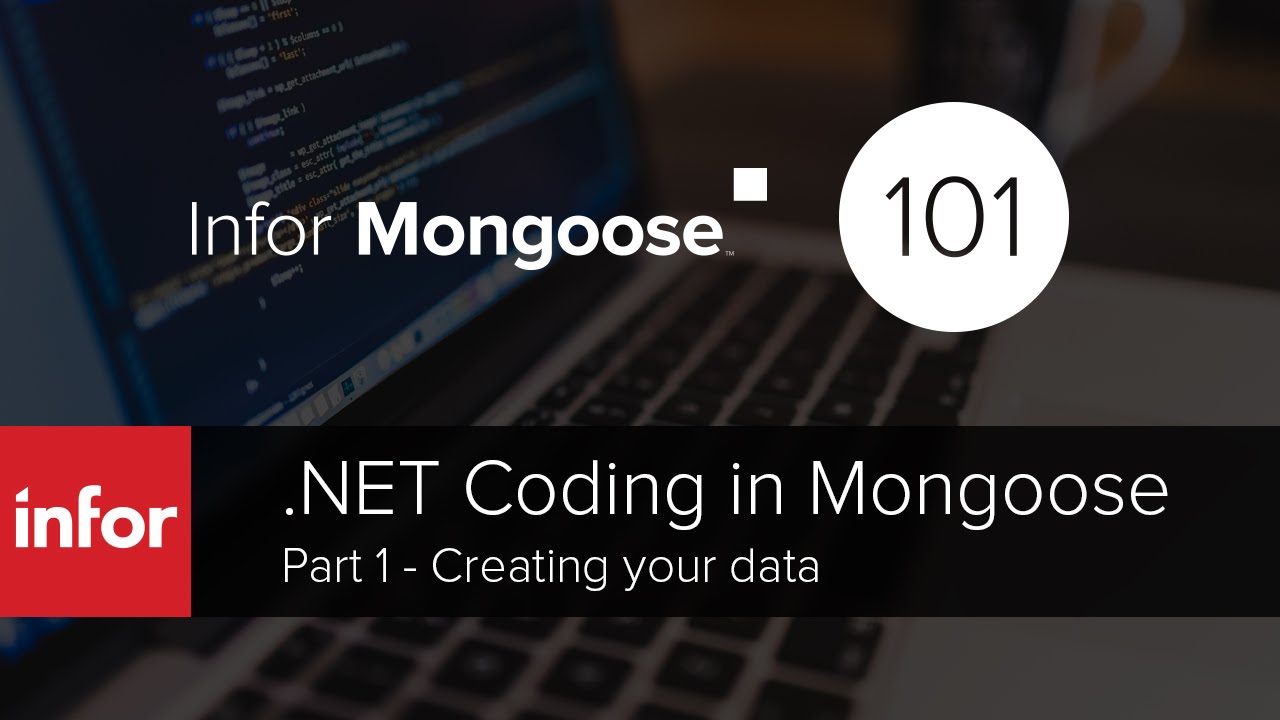 Infor Mongoose: .NET Coding Part 1 - Creating your data