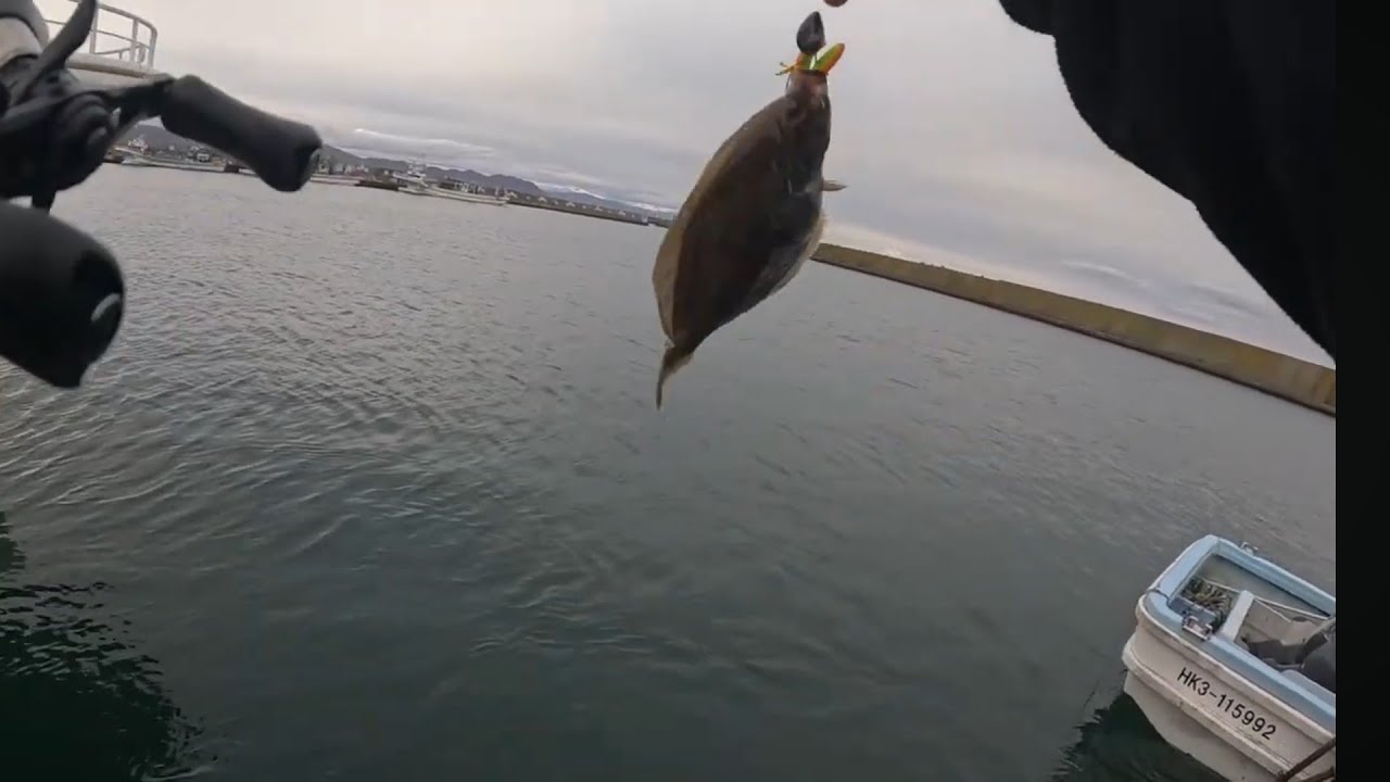 「北海道、釣り」夕マズメを狙っていつもの漁港へ