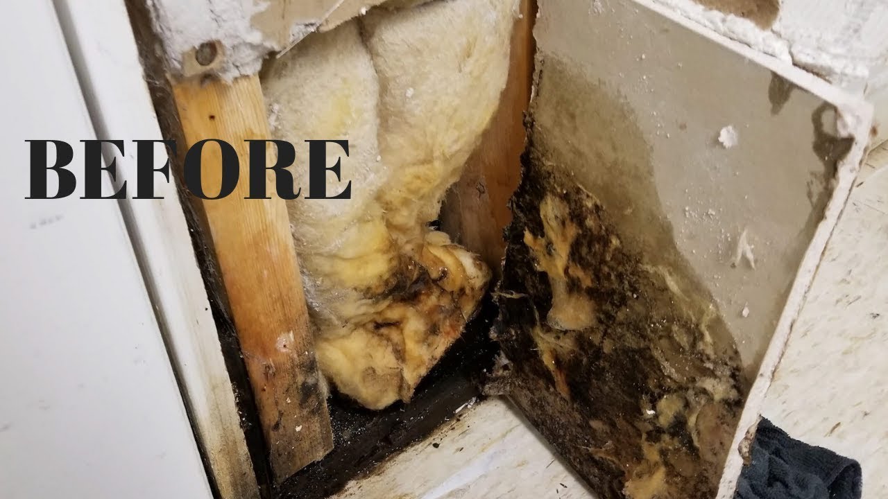 I Found Mold in My Basement! - New Insulation, New Drywall, New Pretty Paint! - Thrift Diving