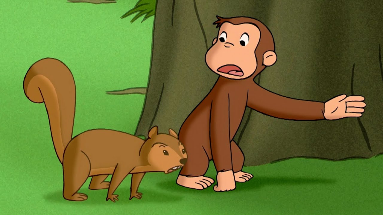 George Helps Jumpy Squirrel! 🐵 Curious George | Animal Friends