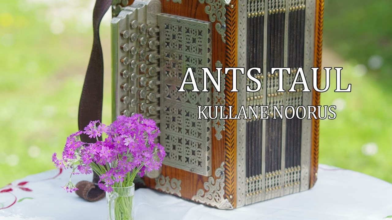 Ants Taul - Kullane noorus