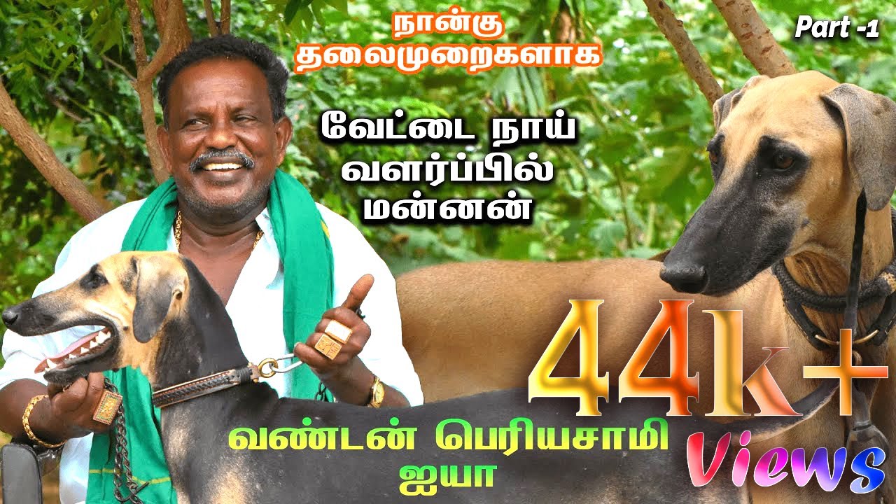 வேட்டை நாய் வளர்ப்பில் மன்னன்| வண்டன் பெரியசாமி ஐயா| நான்கு தலைமுறை | PART-1| 