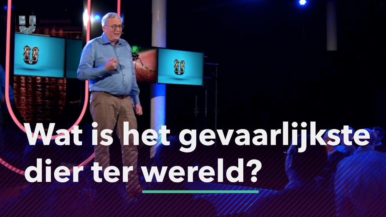 Wat is het gevaarlijkste dier ter wereld?