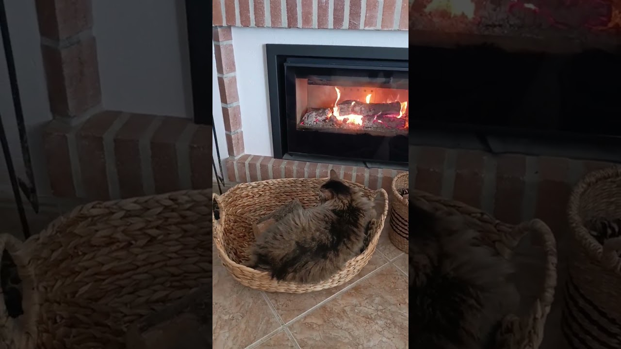 Когда муж в командировке...