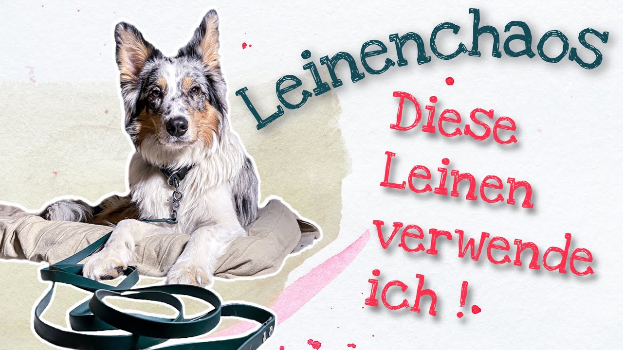 Leinenchaos // Meine Top 6 Hundeleinen f&uuml;r den Alltag
