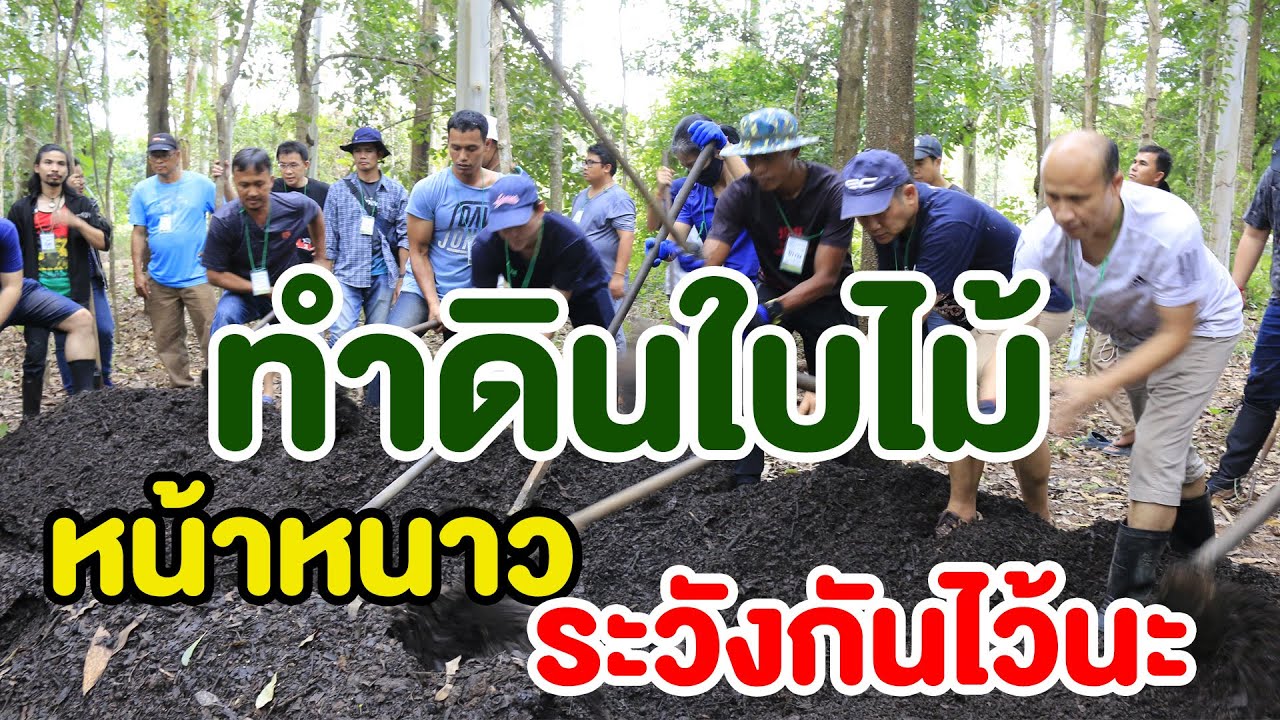 ทำดินใบไม้หน้าหนาว 3ข.36 | คนรักษ์ป่า ep 154