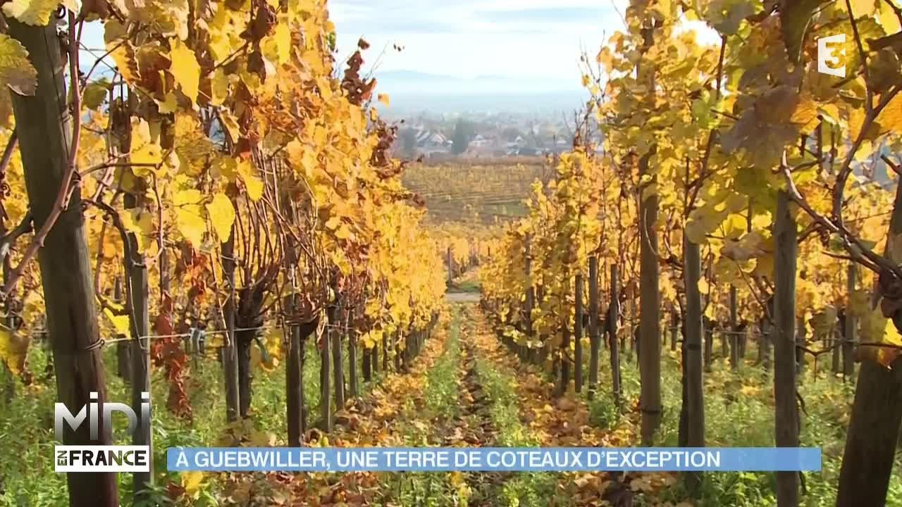 SUIVEZ LE GUIDE : À Guebwiller, une terre de coteaux d'exception