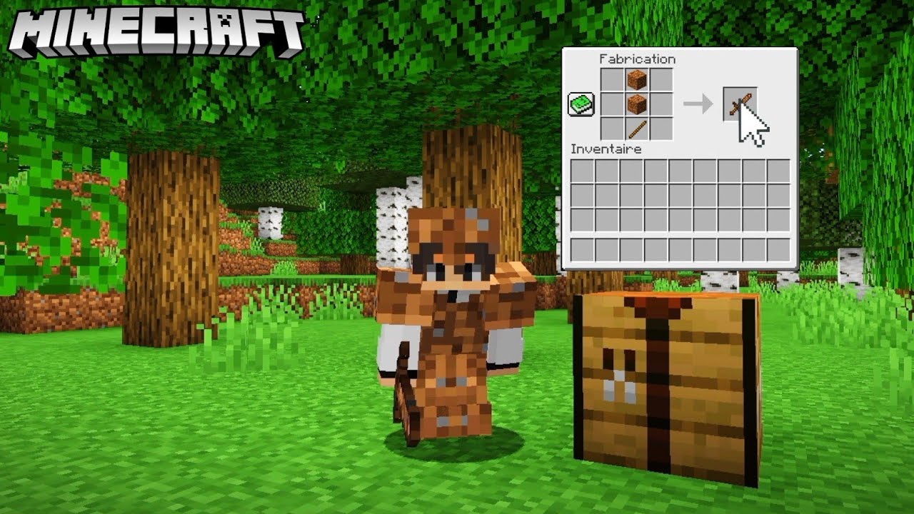 MINECRAFT MAIS JE PEUT TOUT CRAFT !