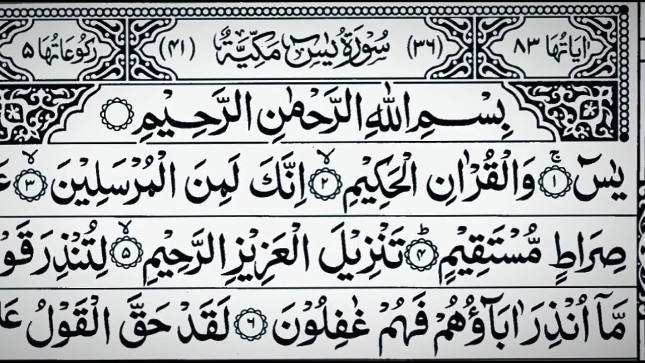 Surah Yaseen & Surah Rahman Complete Recitation | High Quality | Blessed Morning Qur&rsquo;an Reading