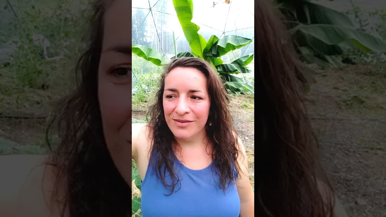 Warum jodel ich? • Anita Biebl • Jodelschule Alpenland