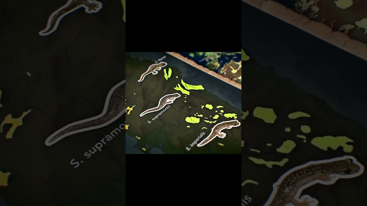 Sardinia's Geology and Cave Salamanders