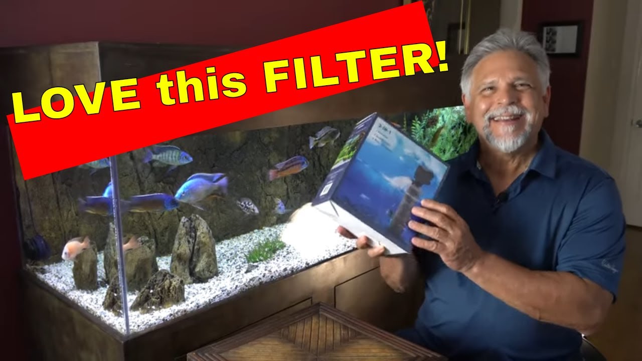 What's in the Box? 