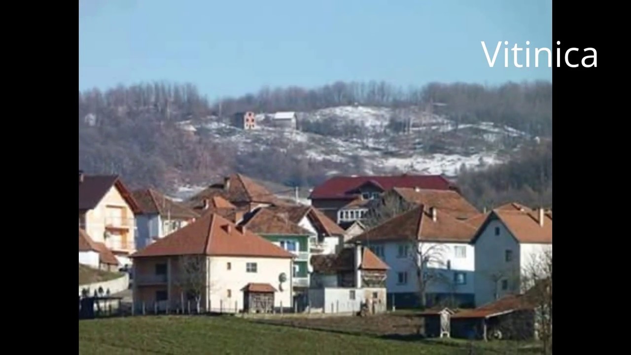 Vitinica I