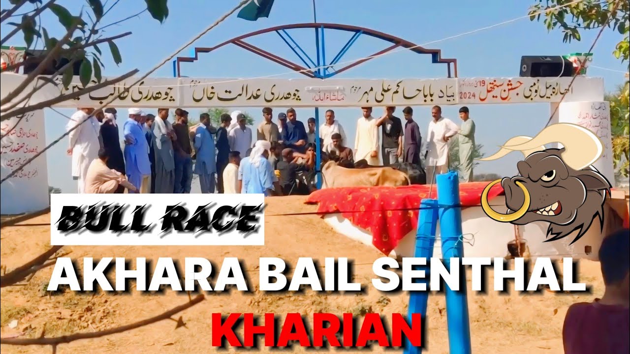 Akhara Bail Tombi Senthal Kharian Gujrat | Dand Sultan Ka Akhara | Bull Race Gujrat & Jehlum