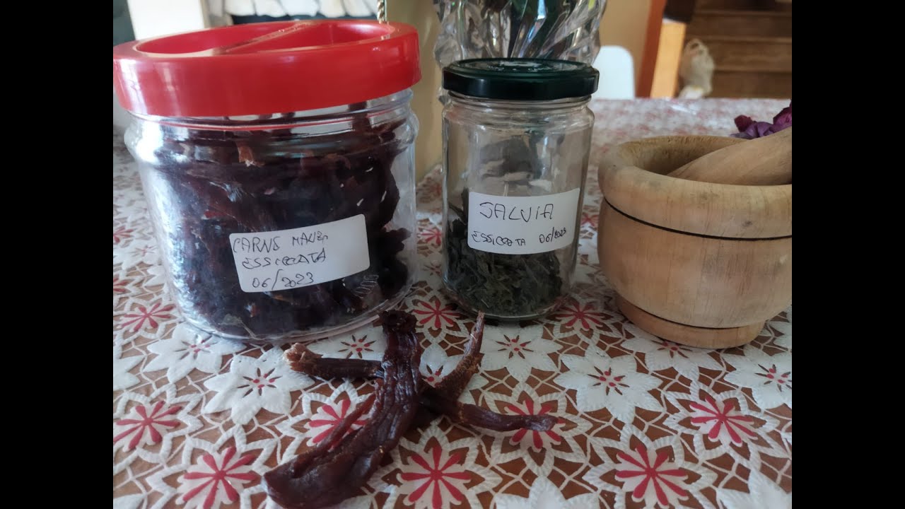 Disidratazione carne di manzo con essiccatore casalingo, scorte di sopravvivenza, snack energetici.