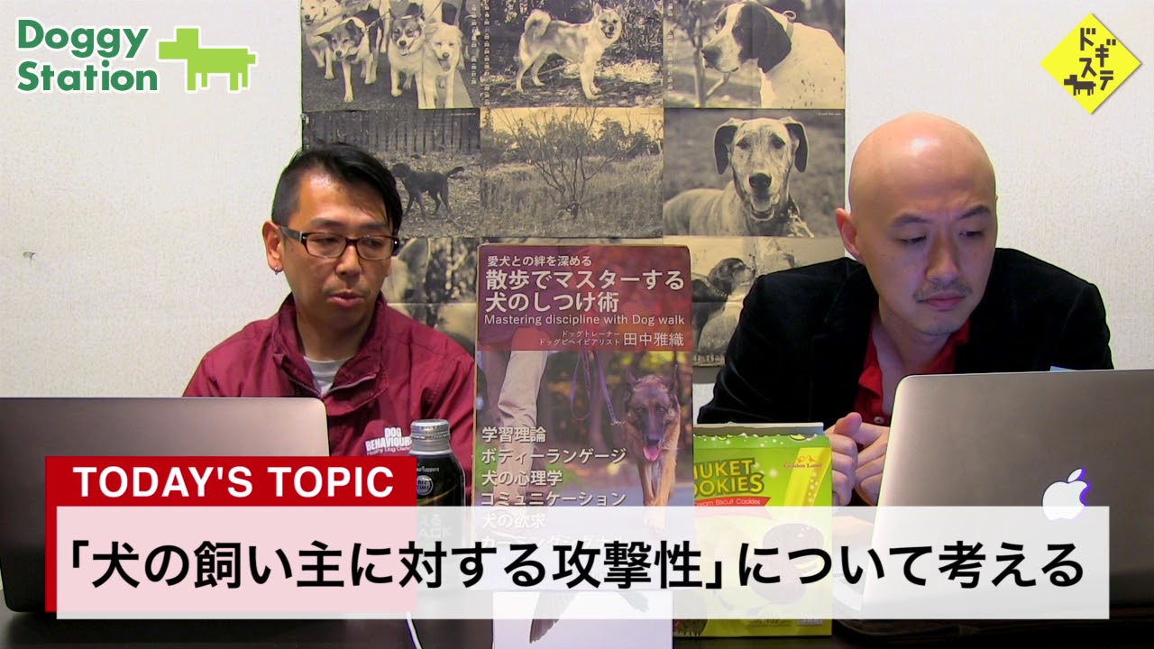 犬の飼い主に対する攻撃行動について：DOGGY STATION Vol.103/犬のしつけ・問題行動・犬の心理学・犬の行動学・ドッグトレーナー・ドッグビヘイビアリスト