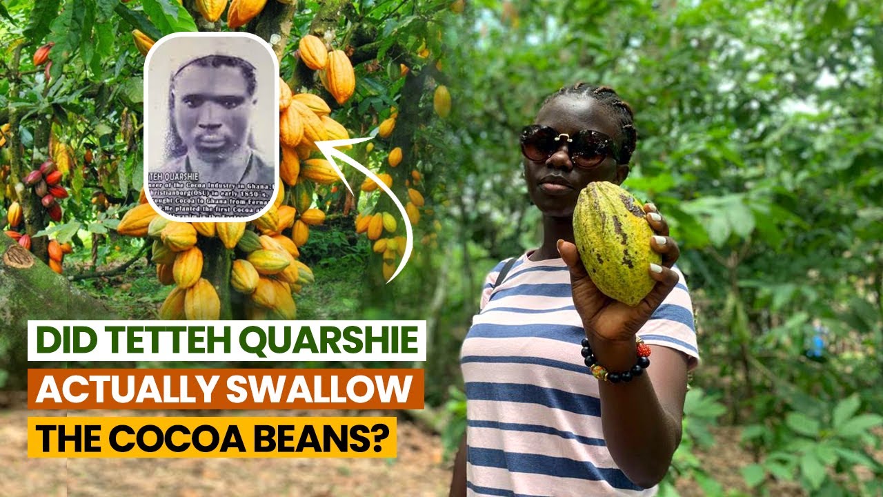 Правдивая история о том, как Теттех Куарши привёз какао в Гану | Какао-ферма Теттеха Куарши