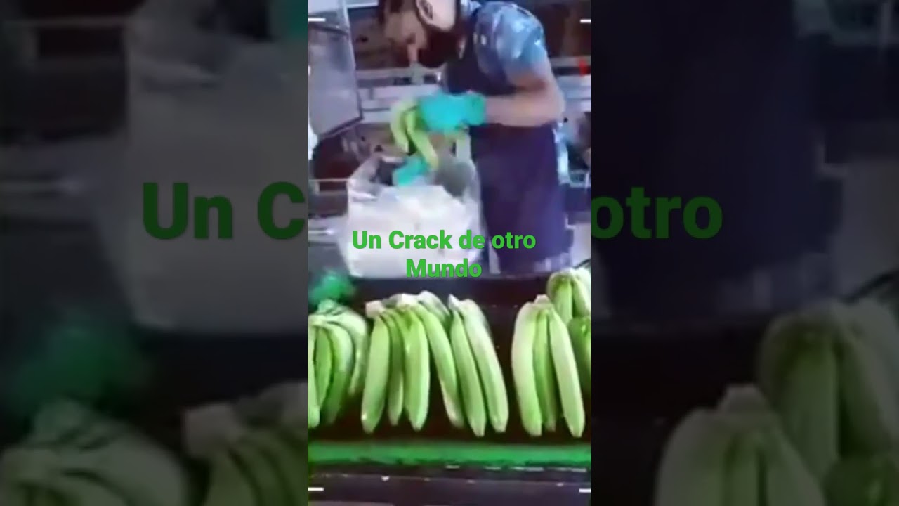 c&oacute;mo Empacar 100 bananos en 15 segundos
