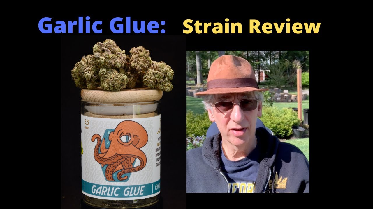 Garlic Glue Cannabis Strain Review