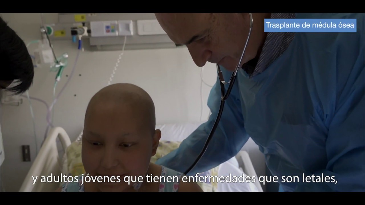 &iquest;Qu&eacute; es el trasplante de m&eacute;dula &oacute;sea?
