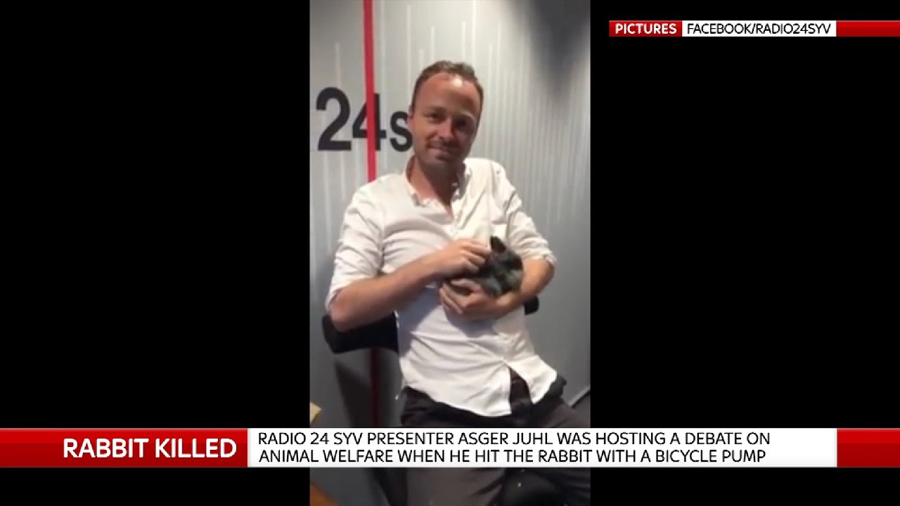 Radio24syv Rabbit Death: Radio Station Boss Defends DJ