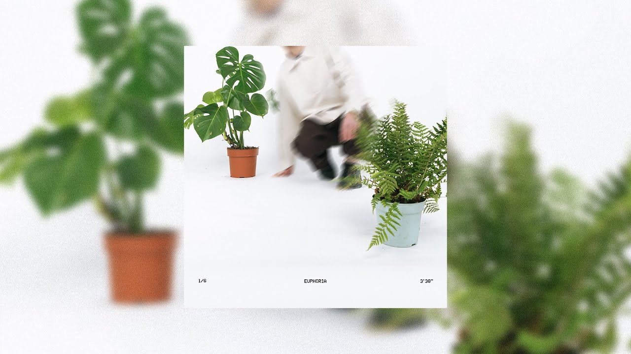 heylucas - Euphoria (Audio)