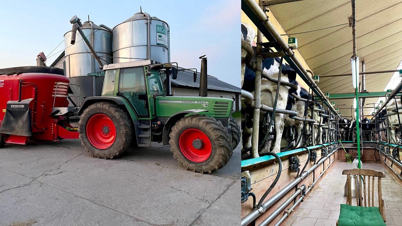 Codzienne obowiązki 🐄 | Dojenie krów & Mieszanie paszowozu | Dzień na gospodarstwie mlecznym #9 🥛