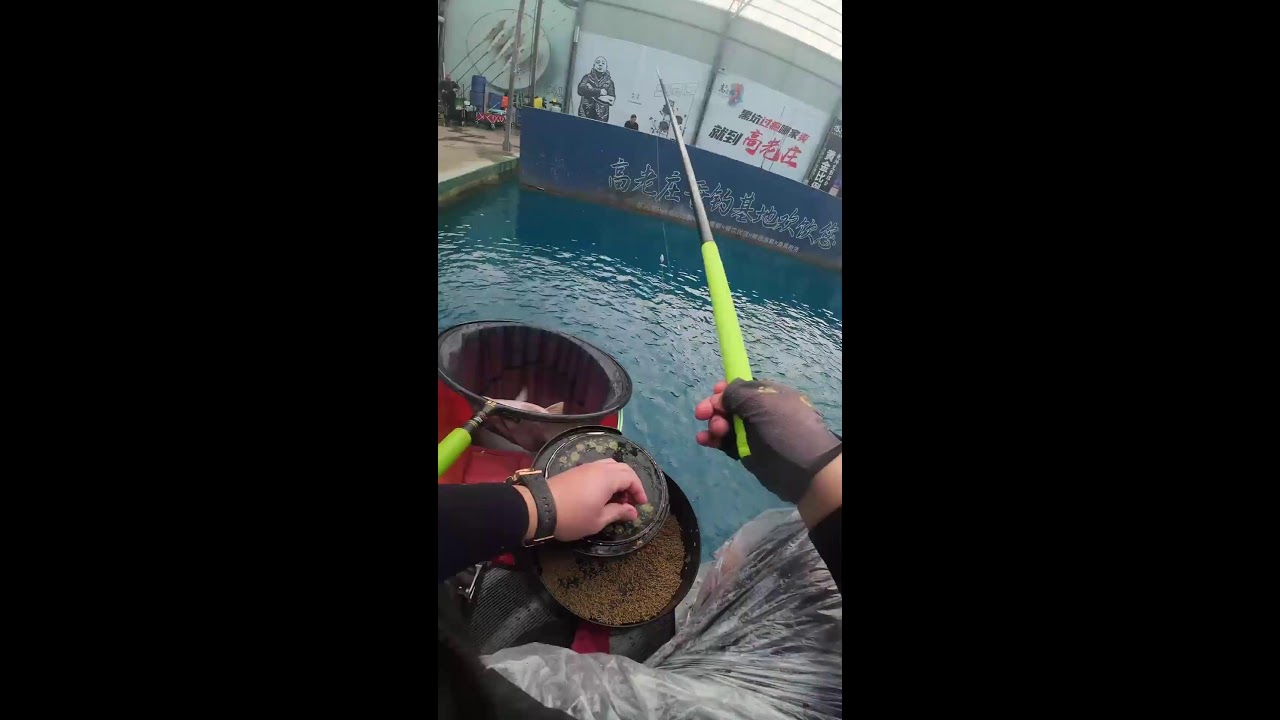 I won't stop broadcasting until I catch a thousand fish today.