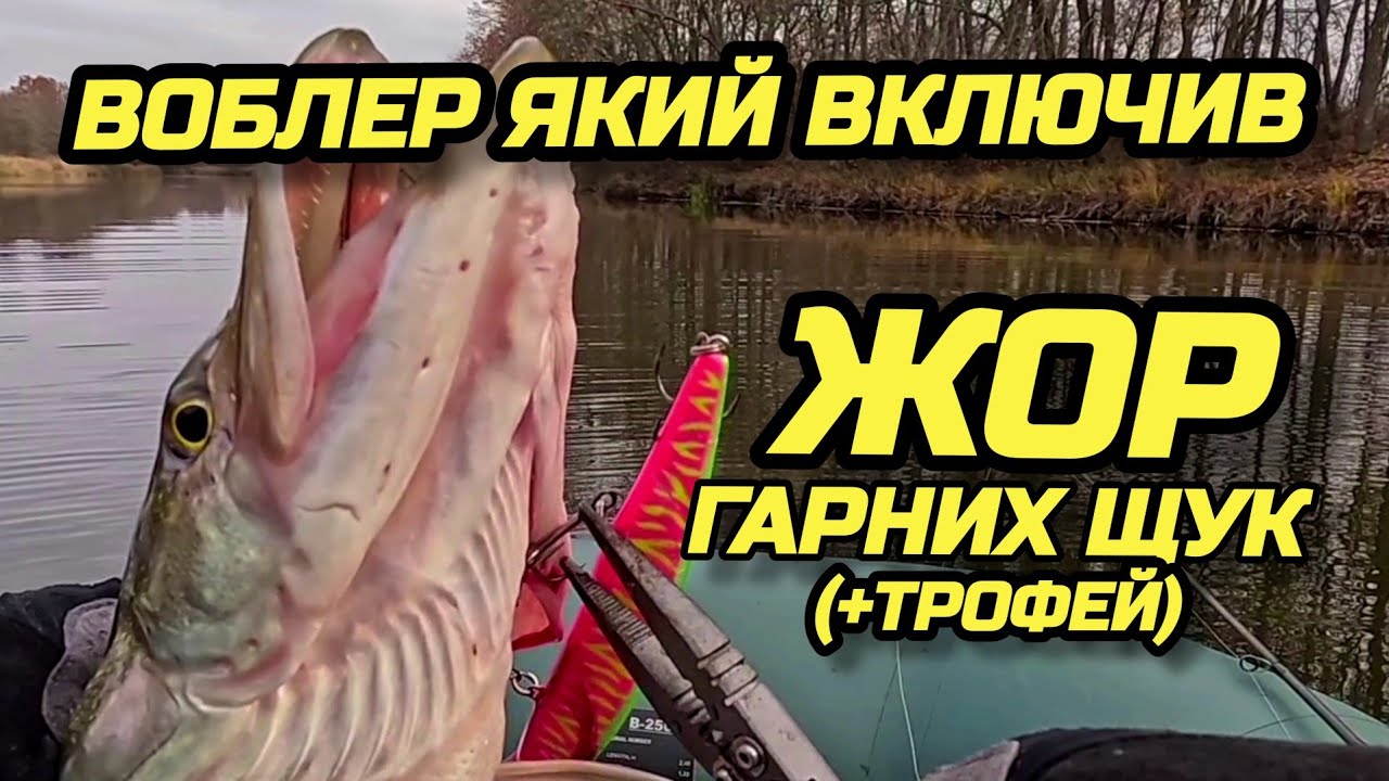 ✅️RERANGE 130SP ВКЛЮЧИВ ЩУЧИЙ ЖОР!✅️