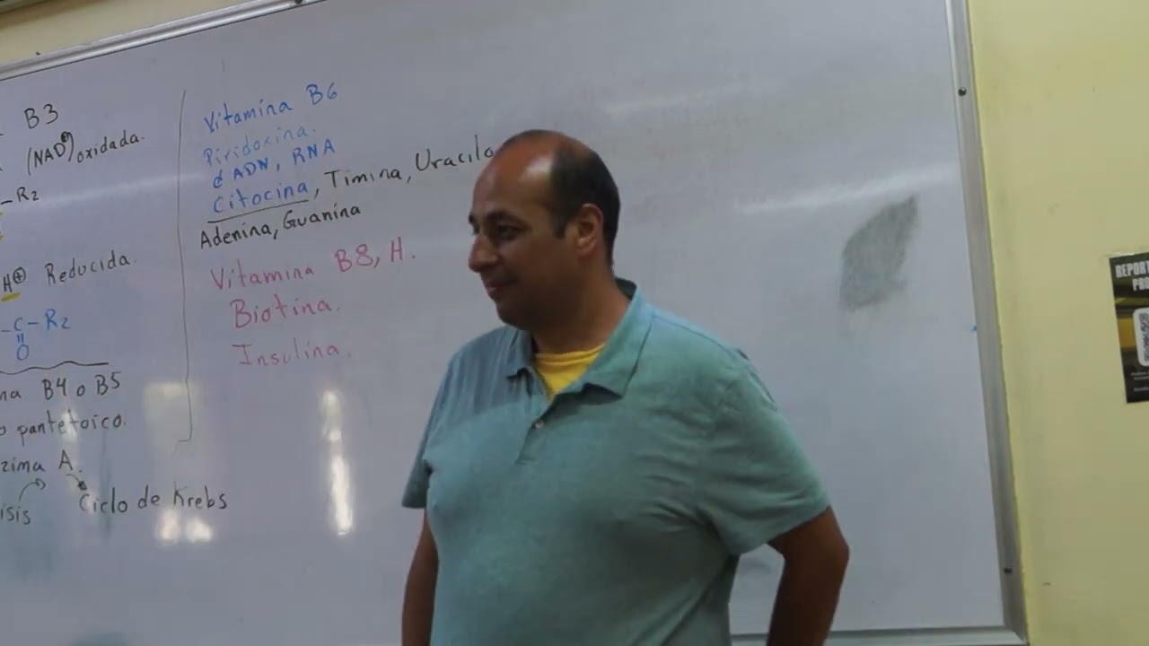 Función de las vitaminas en el cuerpo (2/3)