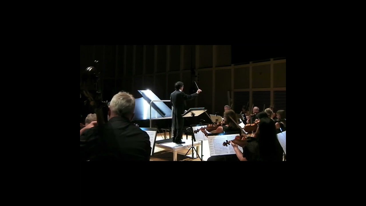 Haydn Piano  Concerto No 11, D major, 1st movement  Alexander Tchobanov, Tarnow Chamber Orchestra