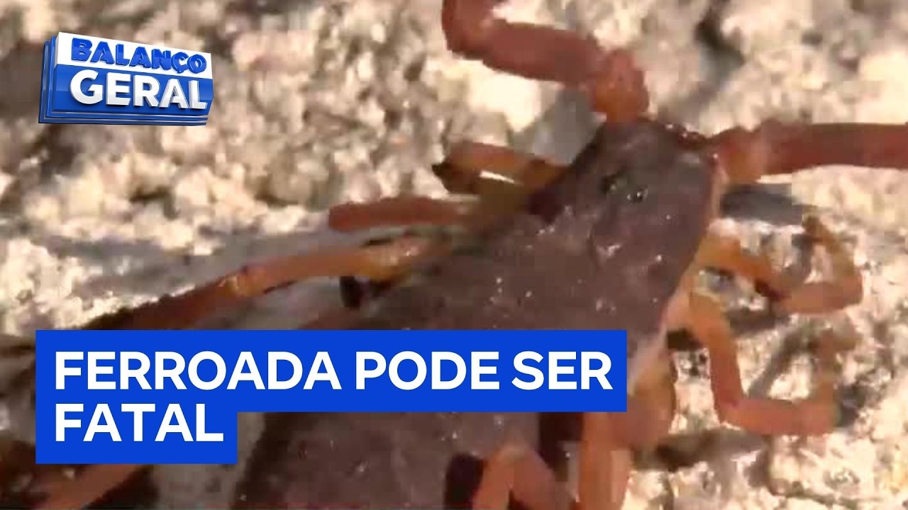 Mãe encontra escorpião dentro do berço do filho em Adamantina, interior de São Paulo
