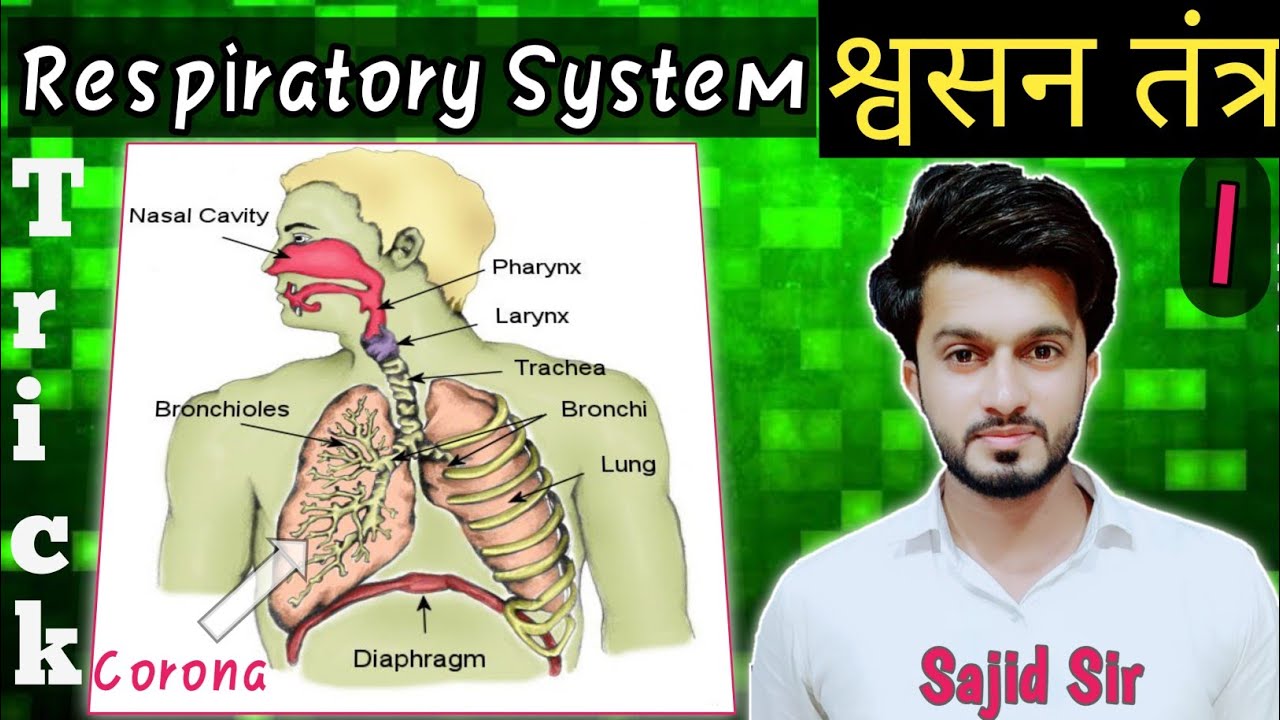 Respiratory System | श्वसन तंत्र |  part 1 | Sajid Khan Sir | Easy Science | Live