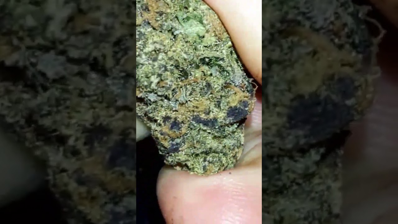Green Karat MG Modified Gas #Cantourage