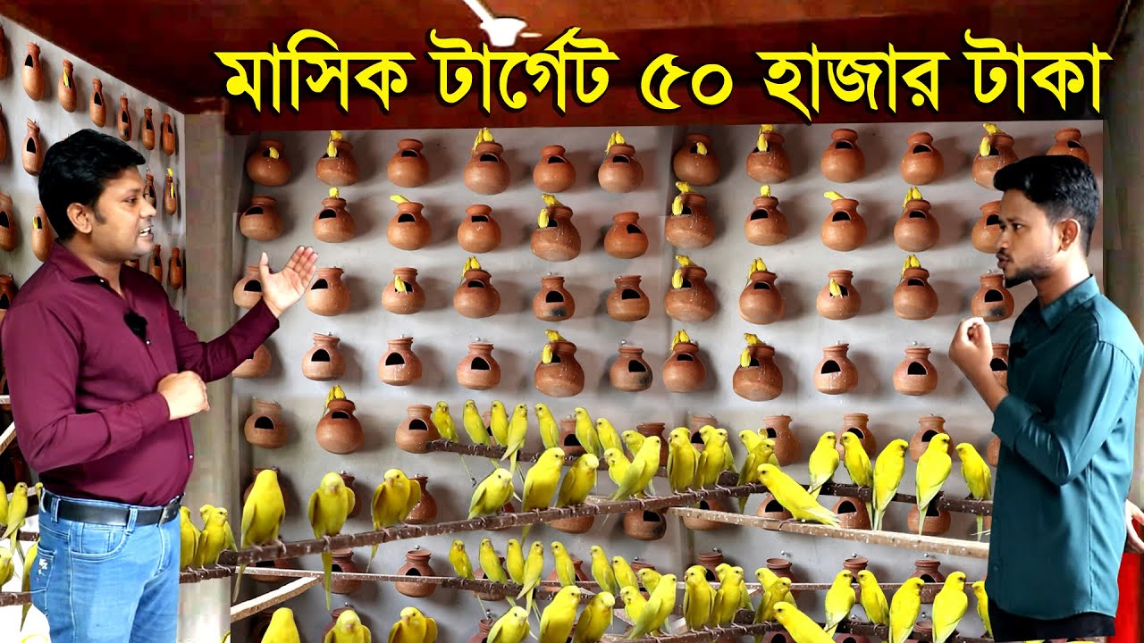 দামি বিদেশি পাখির খামার মাসিক টার্গেট ৫০ হাজার টাকা | কলোনিতে বিদেশি পাখি লুটিনো পালন | বিদেশি পাখি