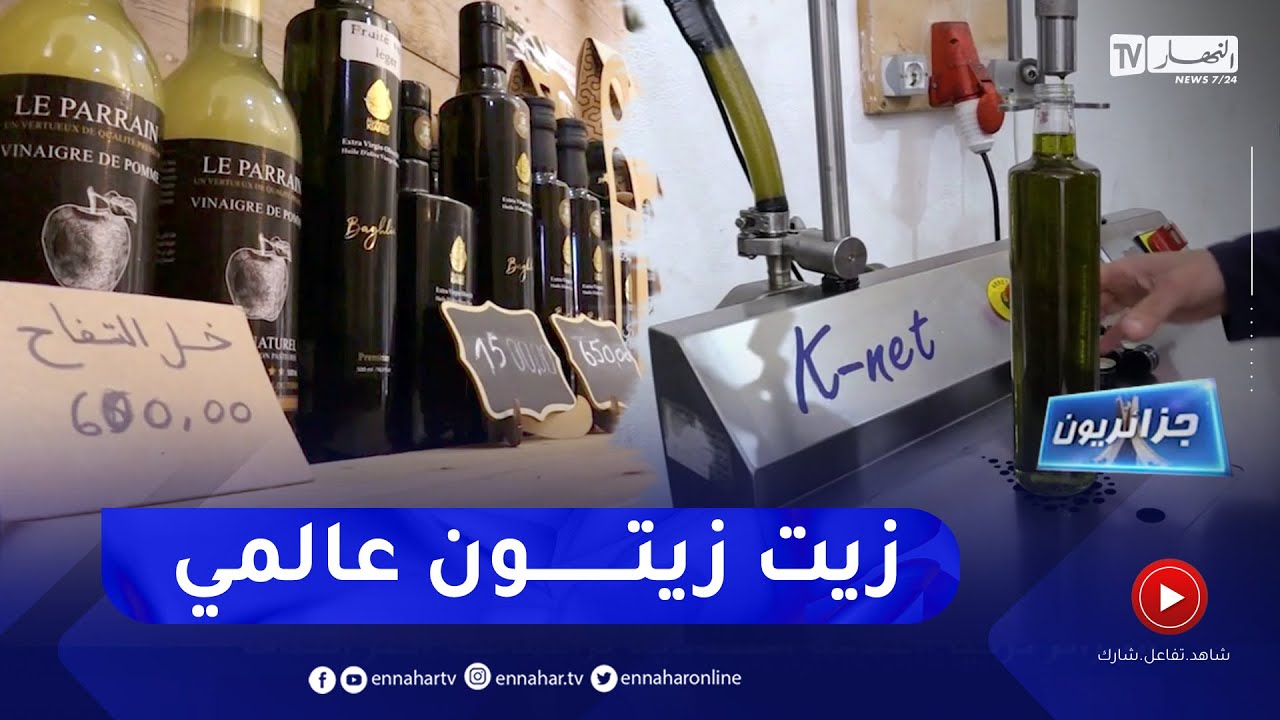 جزائريون: زيت زيتون بغلية .. منتوج جزائري ذو سمعة عالمية