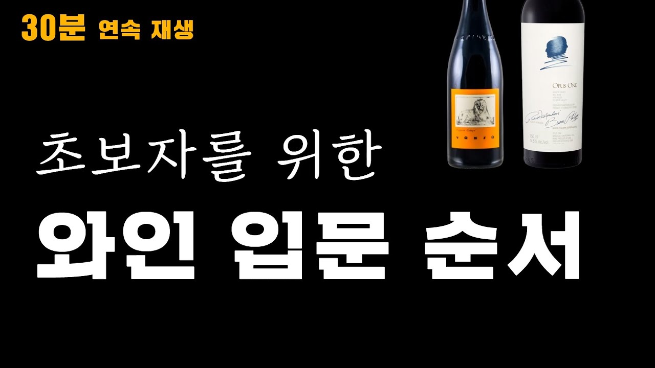(초보자) 와인 입문 순서, 이렇게만 따라와! | 30분 총정리