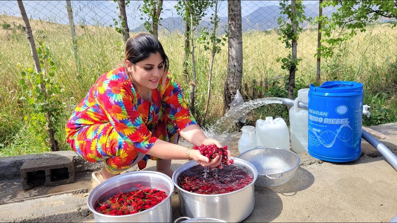 Nomadic life in the mountains of Iran | Mountain plants of the nomadic village