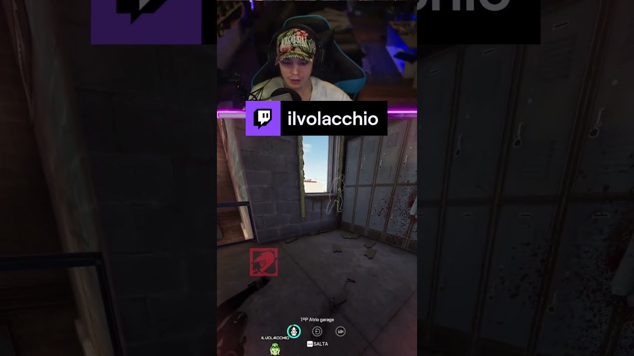 teammate esotici 