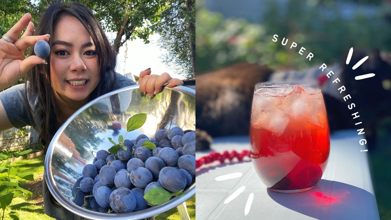 Tiffy Vlogs #8 - LETS MAKE PLUM VINEGAR | Backyard Tour, Fruits and Veggies, Recipe