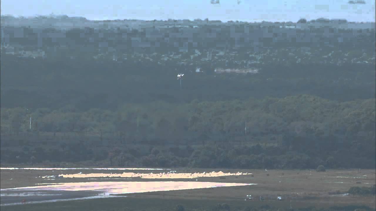 Morpheus Completes Free Flight Test