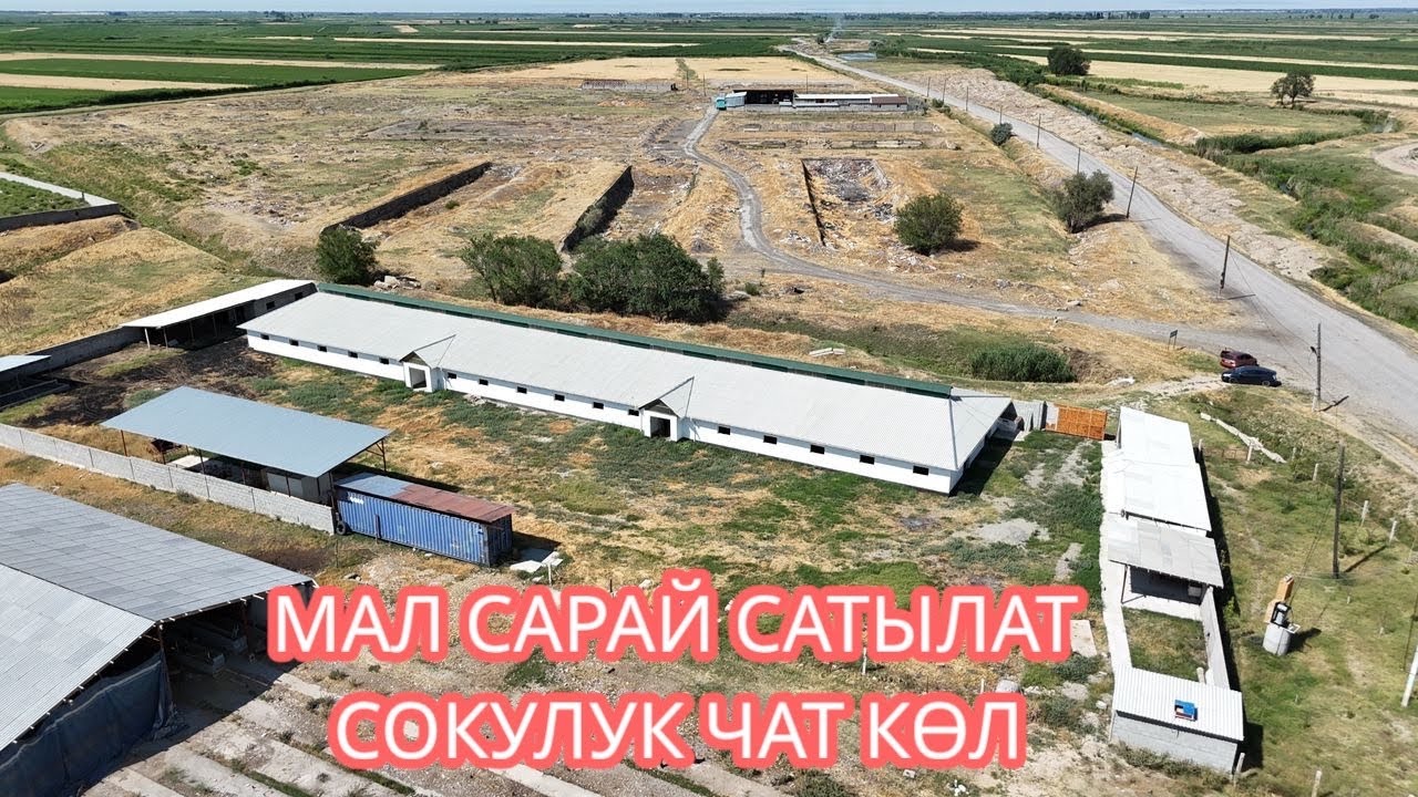 МАЛ САРАЙ САТЫЛАТ СОКУЛУК ЧАТ КӨЛ 2025