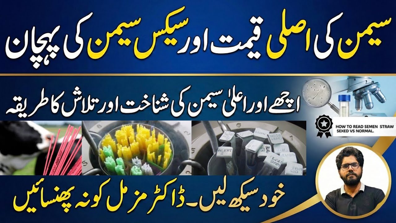 Price of semen II semen ki pehchan II Semen search karny la tareeqa II Dr. MUZZAMMIL 