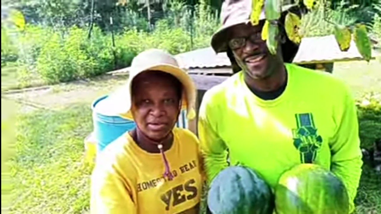 The BACKUP WATERMELON PATCH ~ We've Got MELONS!