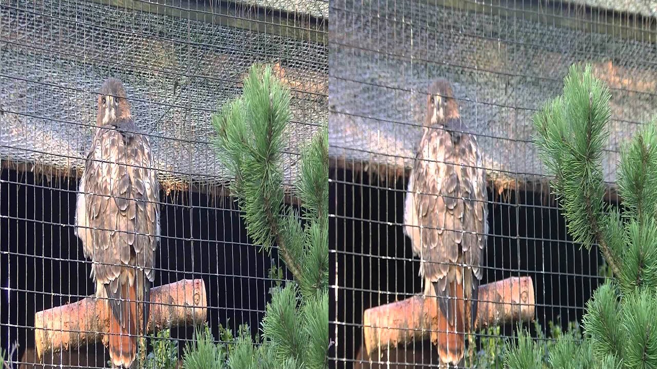 3D Kölner Stadtteile 