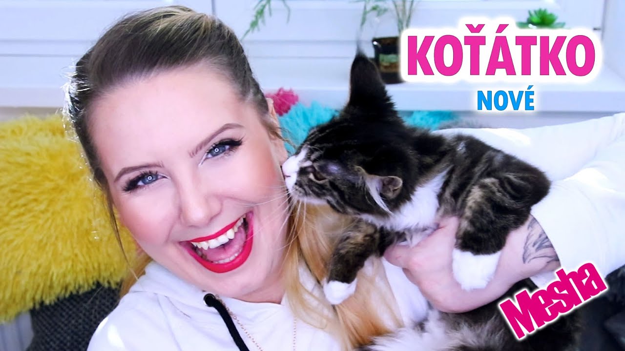 JAK TO, ŽE MÁME NOVOU KOČKU? A CO NA TO CHARLIE?! ● MAINSKÁ MÝVALÍ 🐈