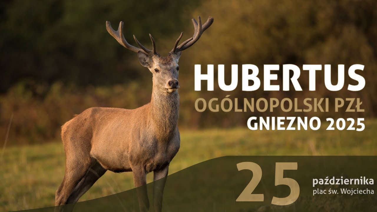Zapowiedź Hubertusa Og&oacute;lnopolskiego PZŁ Gniezno 2025