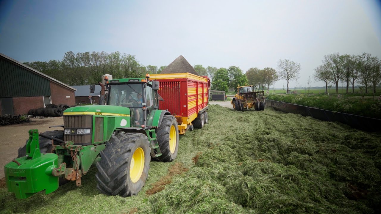 Grasoogst 2024; Eerste snede inkuilen met 3x Schuitemaker opraapwagens en John Deere trekkers