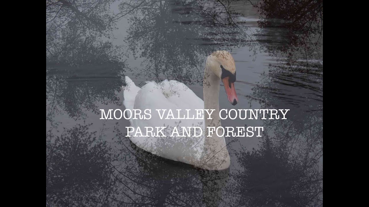 Moors Valley Country Park Promotional Documentary video